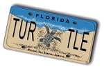 Mapping-TurtleLicensePlate